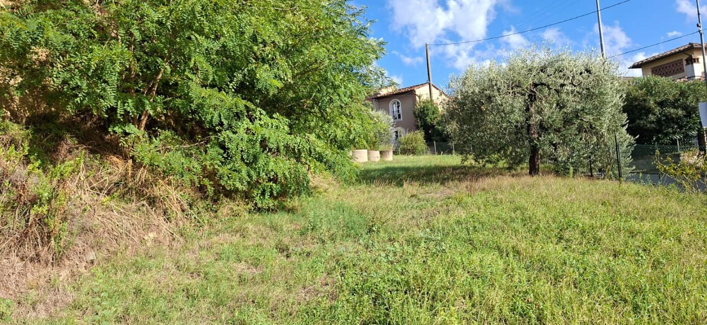 Terreno Agricolo in vendita, Palaia montefoscoli