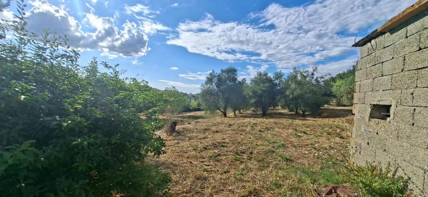 Terreno Edificabile in vendita, Capannoli san pietro in belvedere