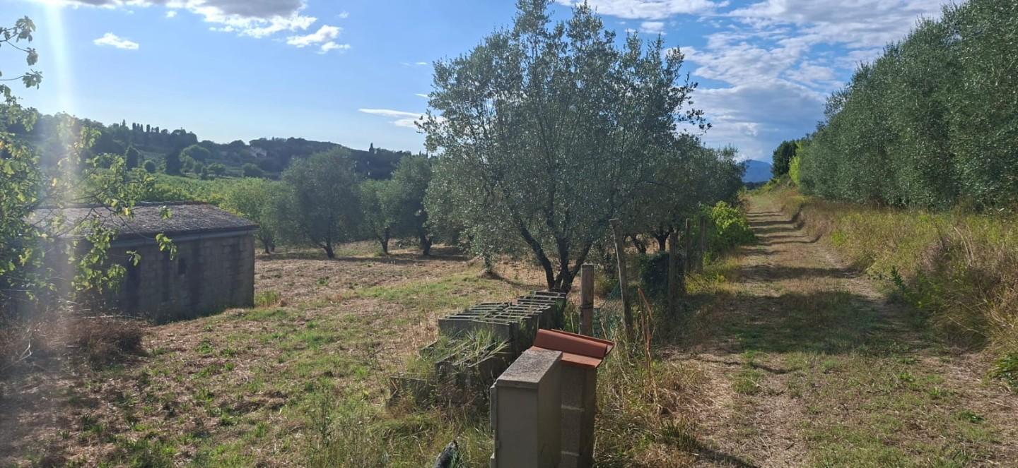 Terreno Edificabile in vendita, Capannoli san pietro in belvedere
