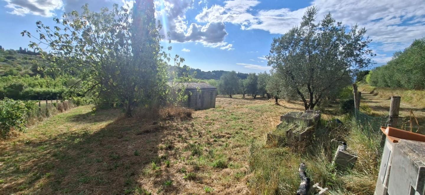Terreno Edificabile in vendita, Capannoli san pietro in belvedere