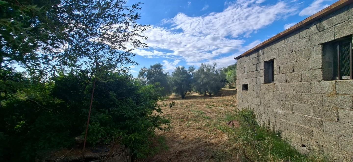 Terreno Edificabile in vendita, Capannoli san pietro in belvedere