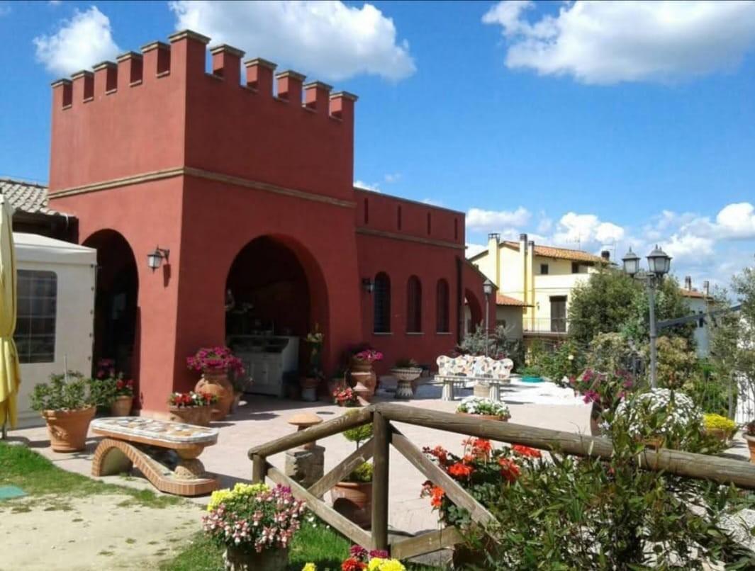 Attivit commerciale in vendita, Palaia colleoli