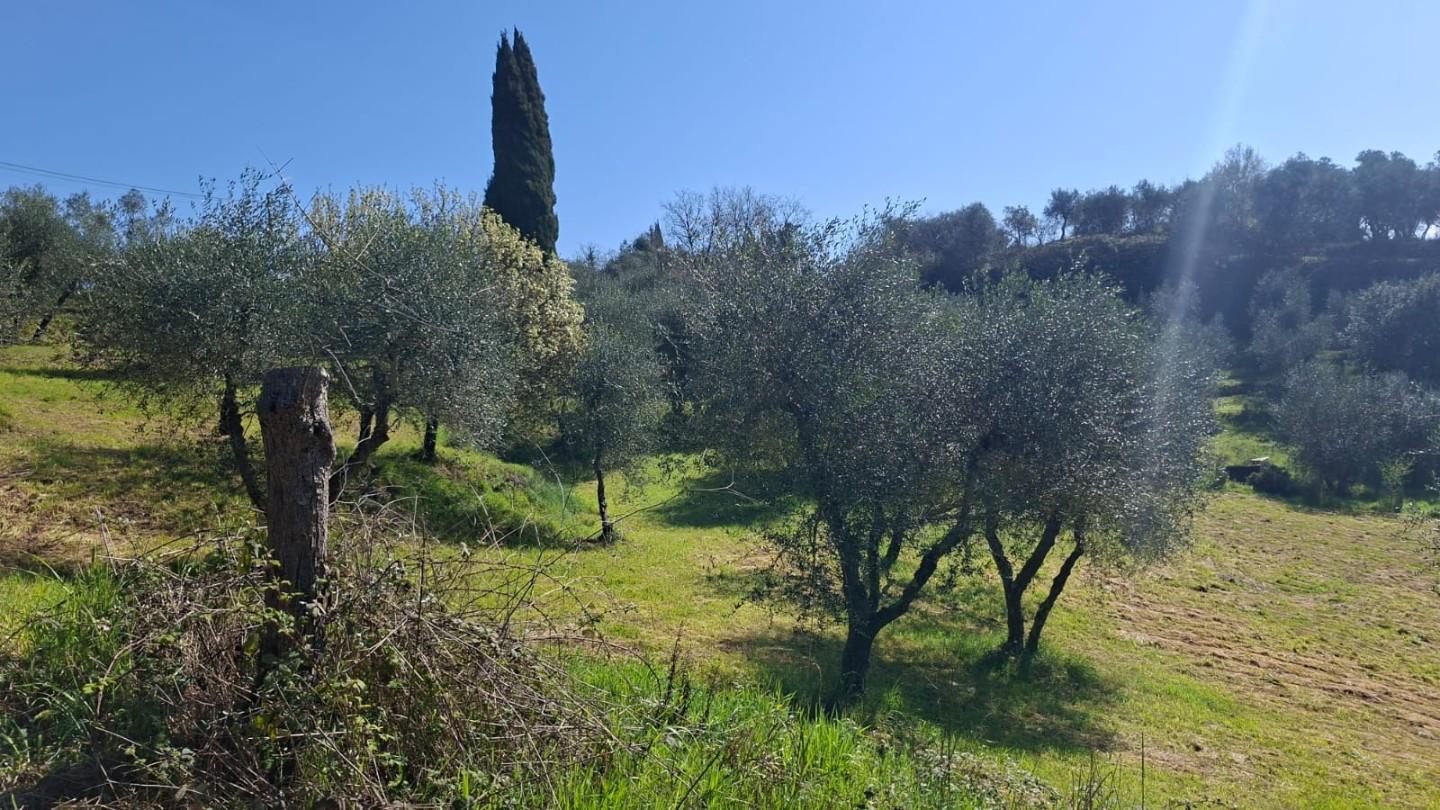 immagine annuncio 1 di 6