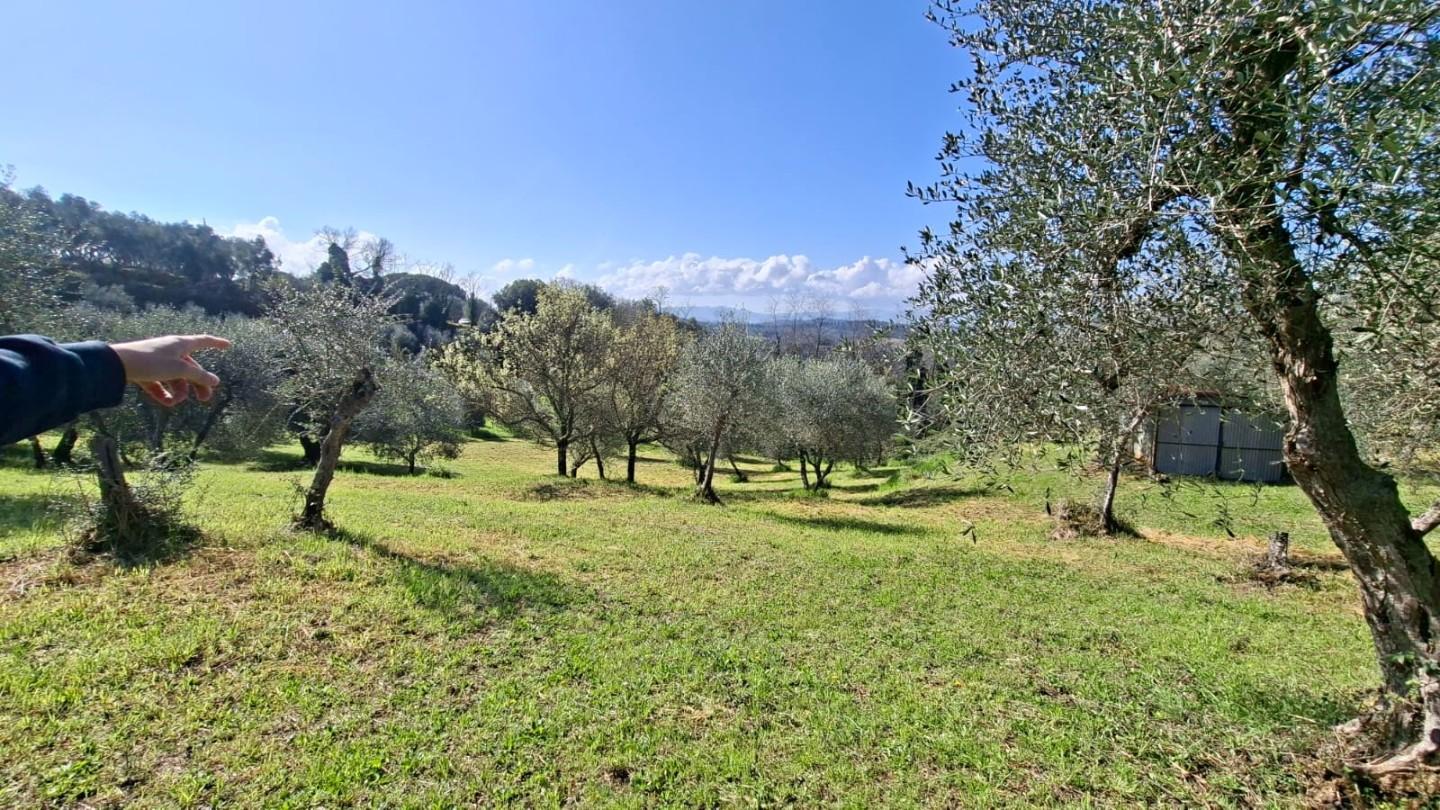 immagine annuncio 5 di 6