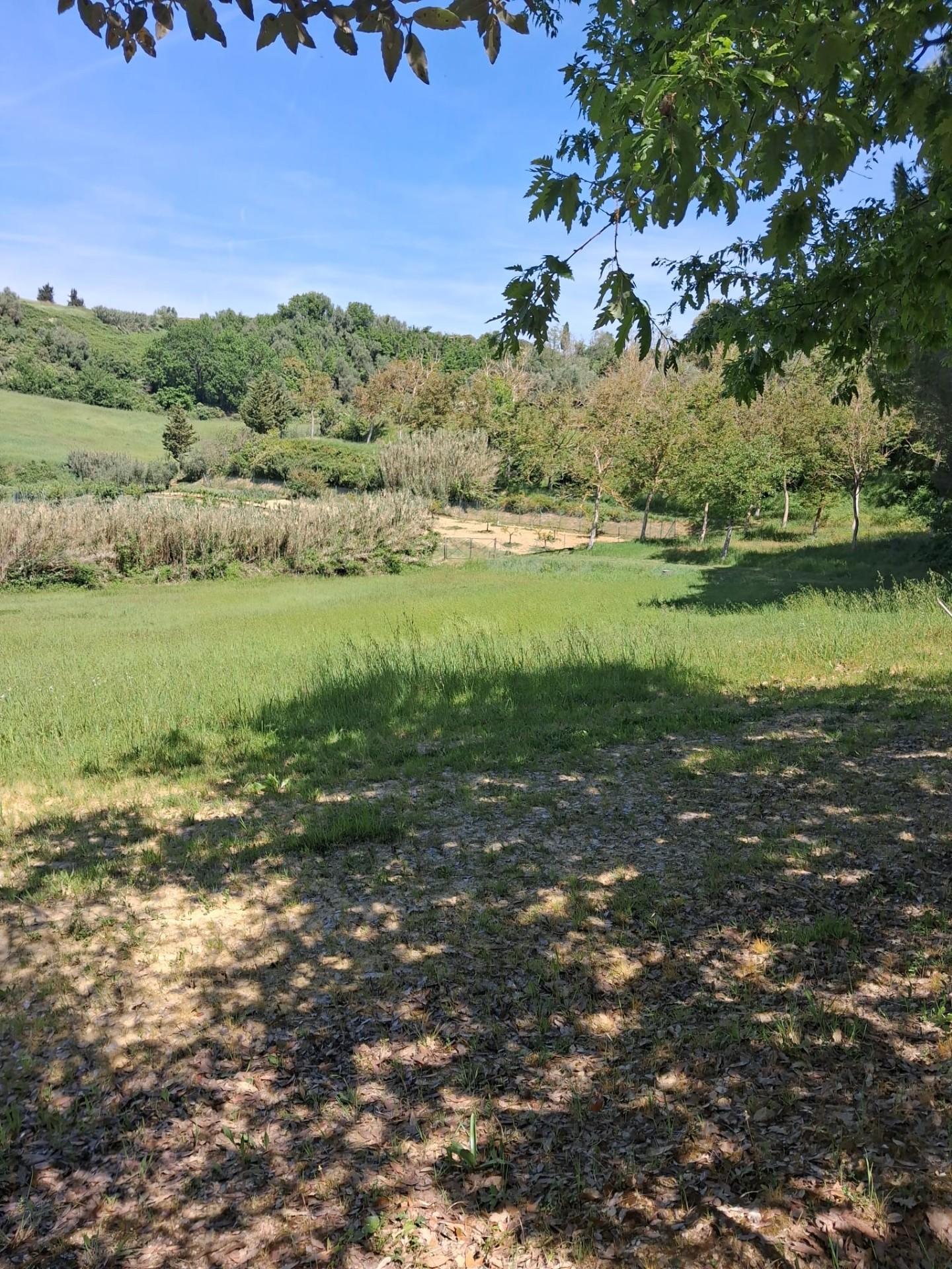Terreno Agricolo in vendita a Capannoli