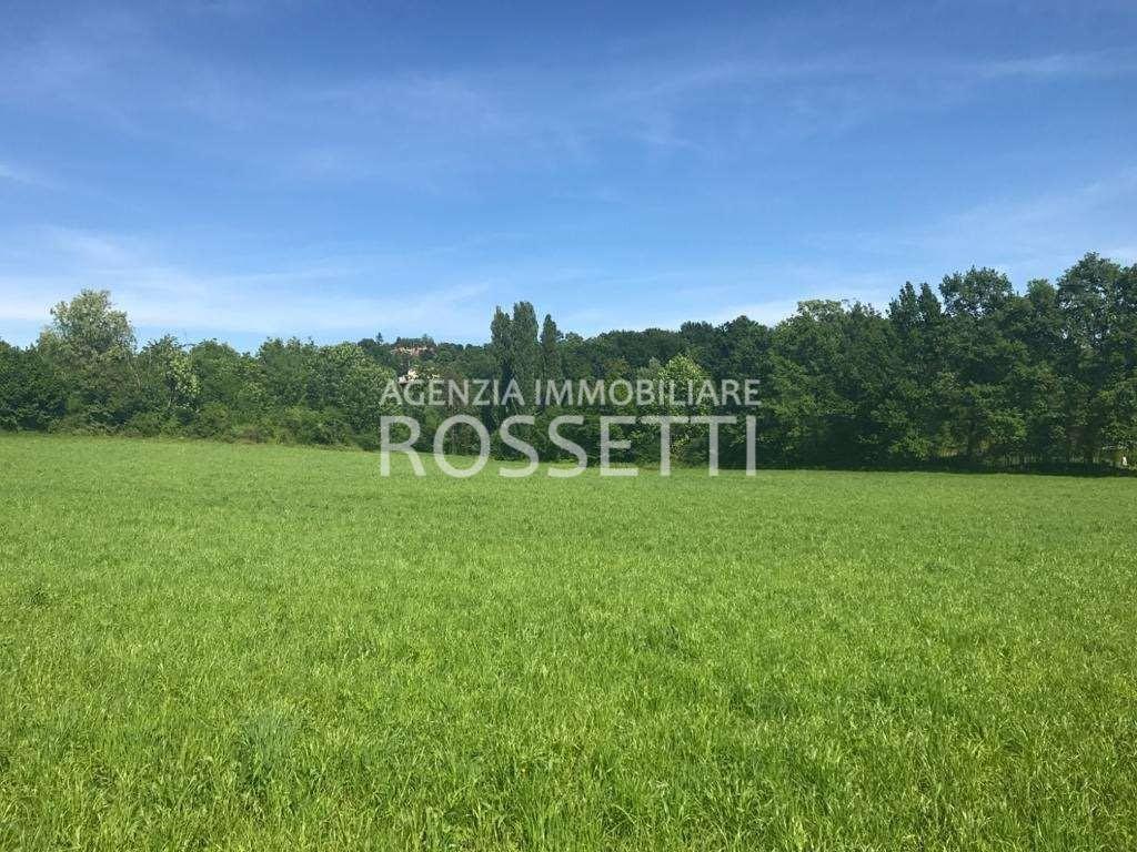 Terreno Agricolo in vendita, Cerreto Guidi bassa