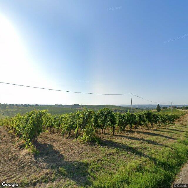Terreno Agricolo in vendita a Cerreto Guidi