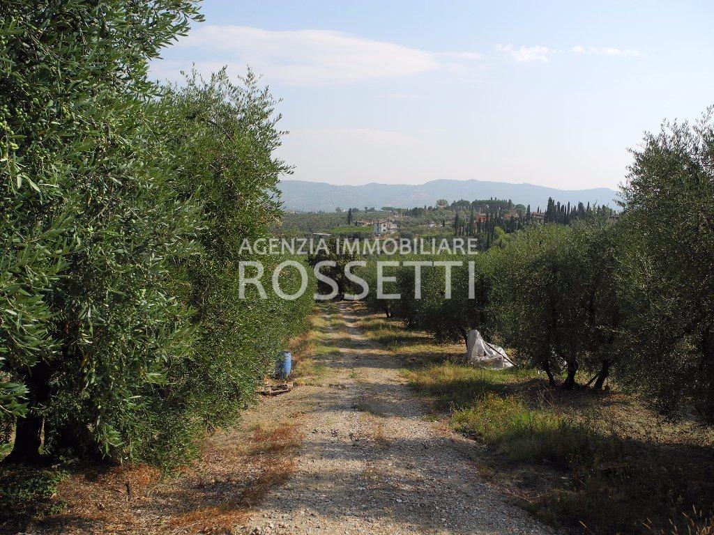 Terreno Agricolo in vendita a Cerreto Guidi