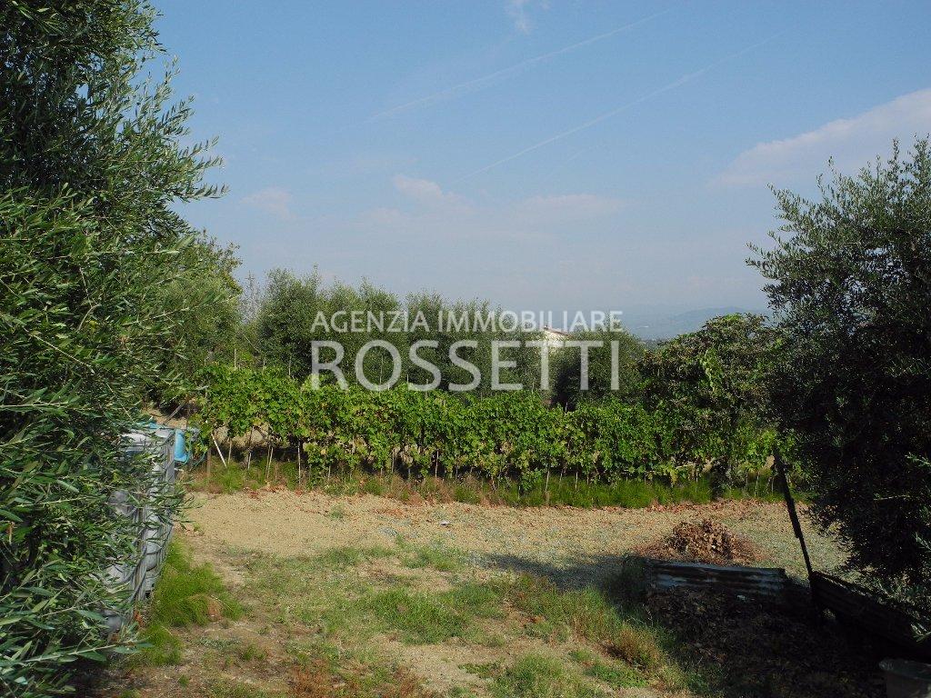 Terreno Agricolo in vendita a Cerreto Guidi