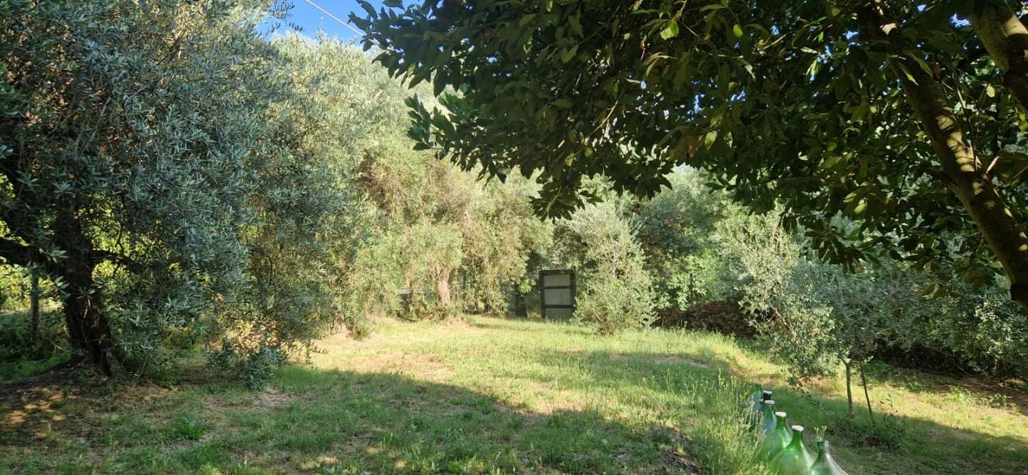 Casa indipendente con giardino a Fauglia