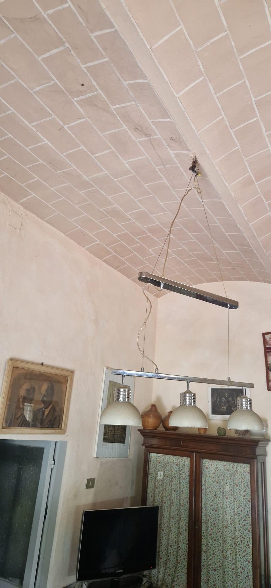 Casa indipendente con giardino a Fauglia