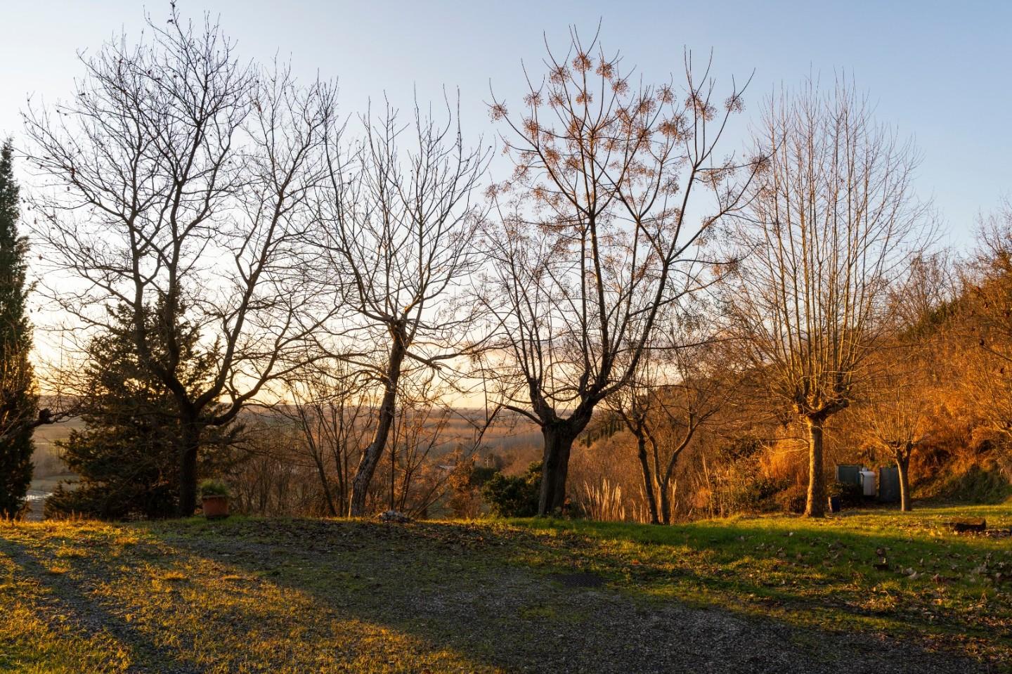 Rustico con giardino, Palaia forcoli