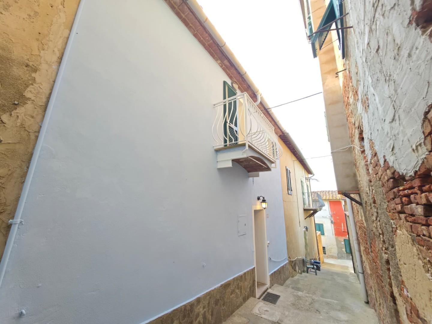 Casa indipendente con giardino a Palaia