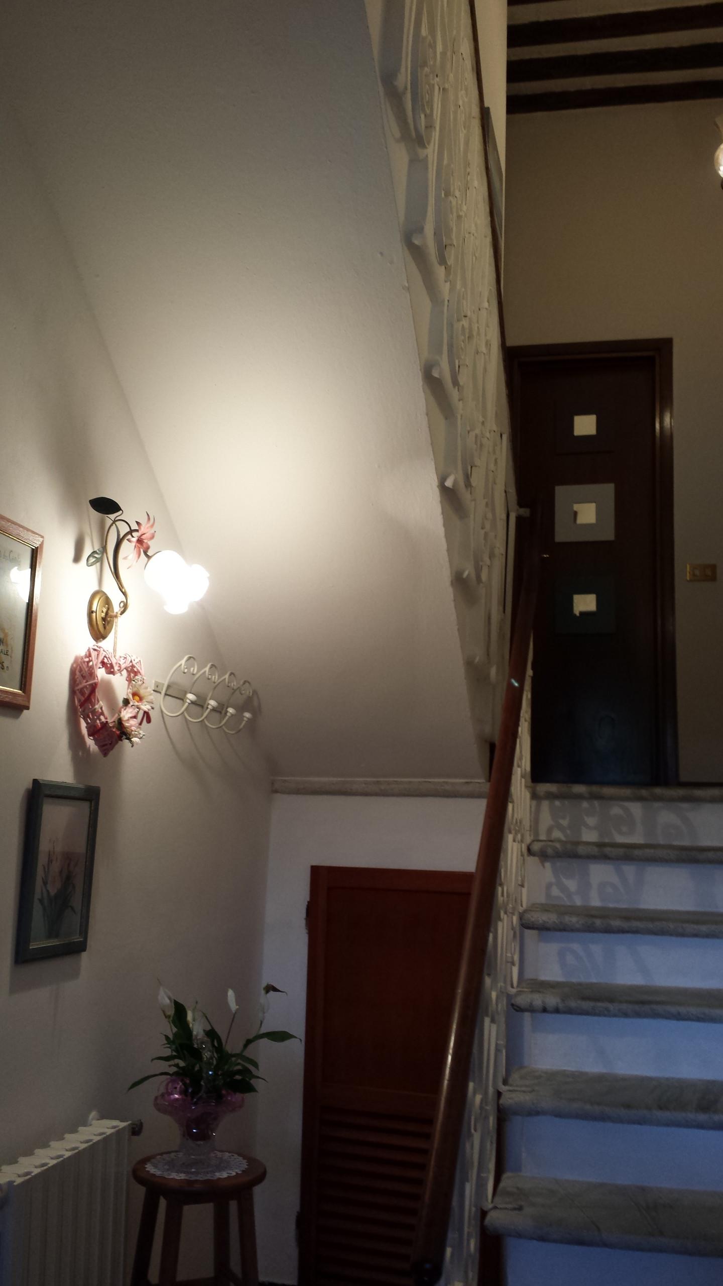 Casa indipendente arredata in affitto a Vecchiano