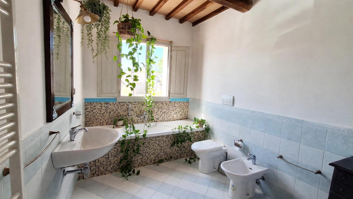 Rustico con giardino, San Giuliano Terme arena metato