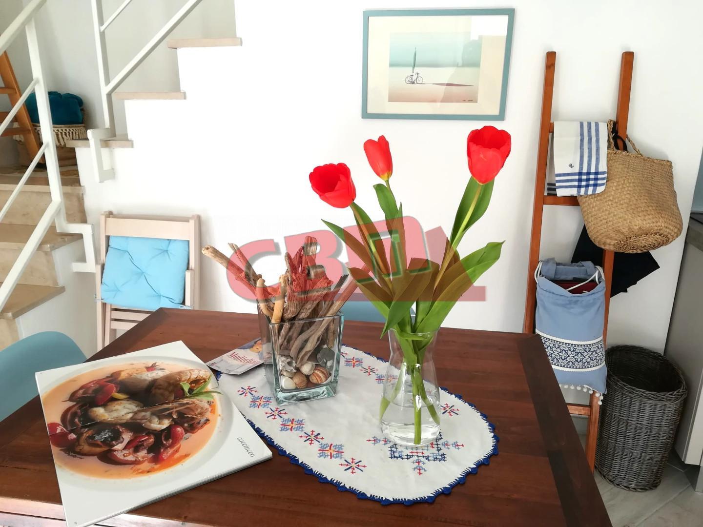 Bilocale arredato in affitto, Livorno antignano