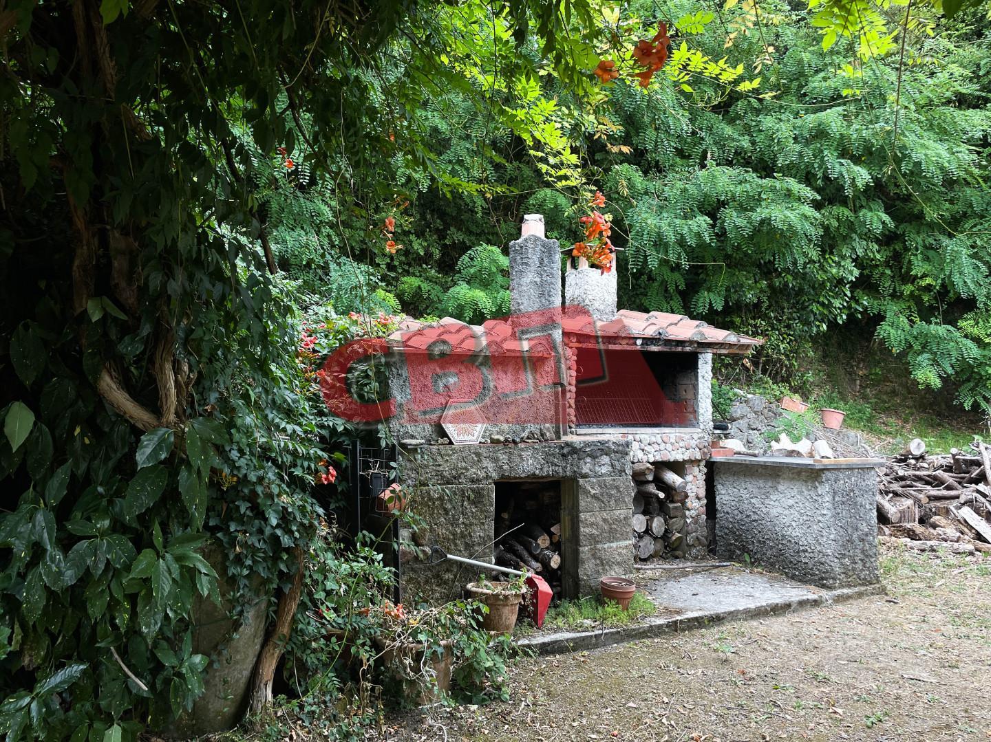 Casa indipendente in vendita, Fauglia luciana