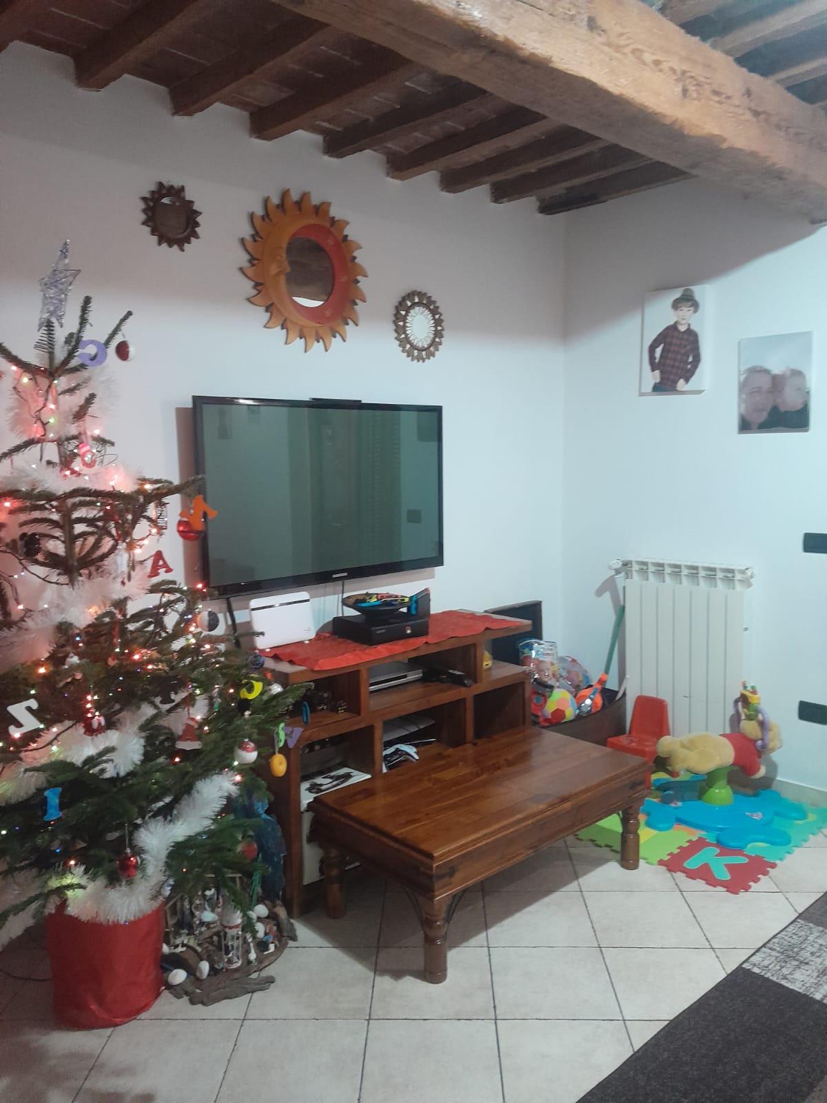 Rustico con giardino, Livorno picchianti