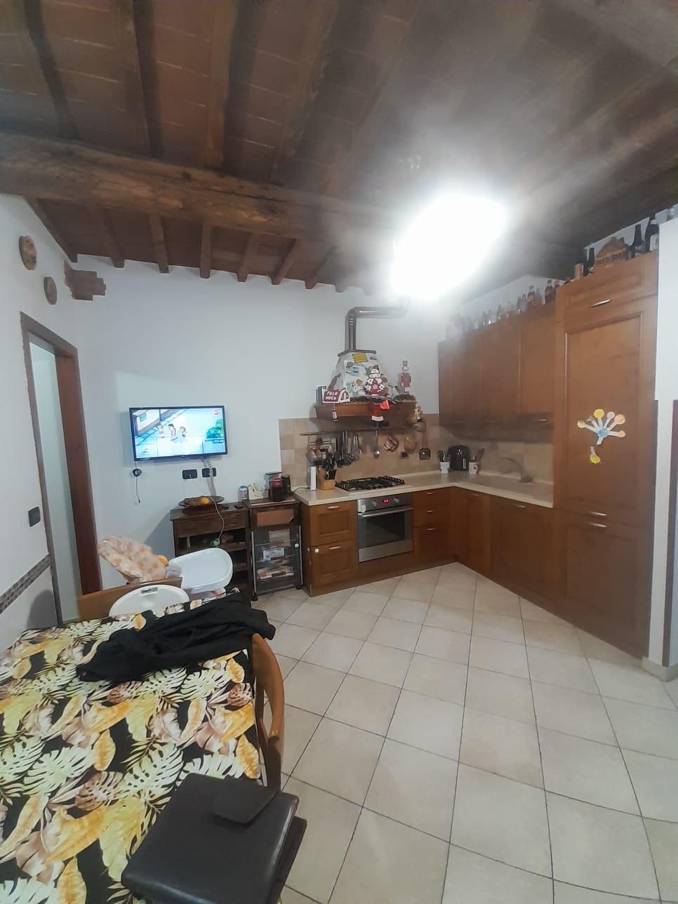 Rustico con giardino, Livorno picchianti