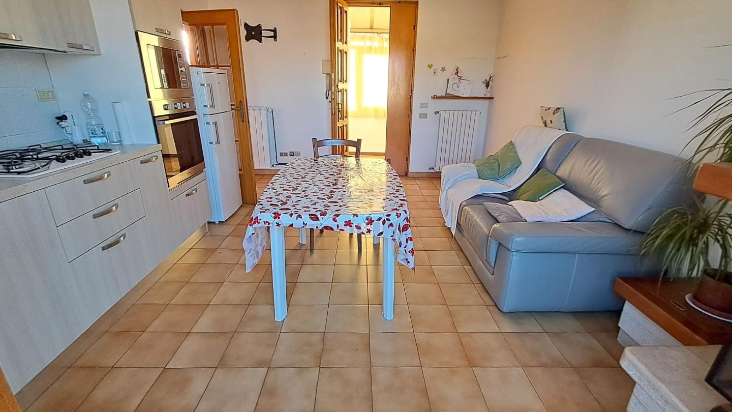 Trilocale con giardino, Cecina palazzaccio