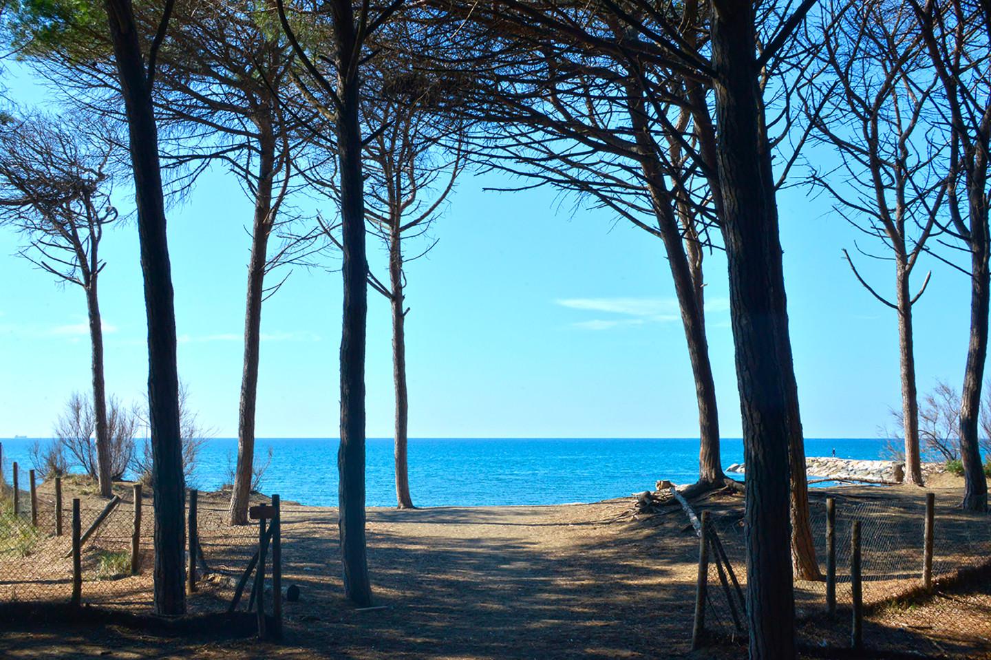 Casa indipendente con giardino a Cecina