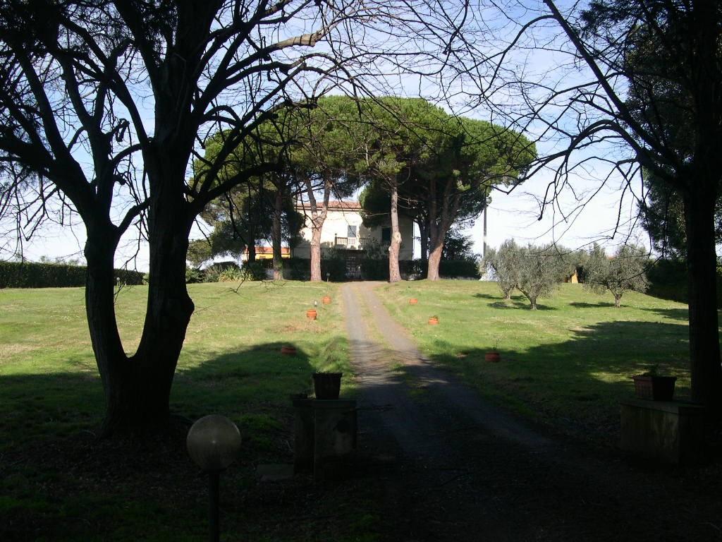 Terreno Agricolo in vendita a Casale Marittimo
