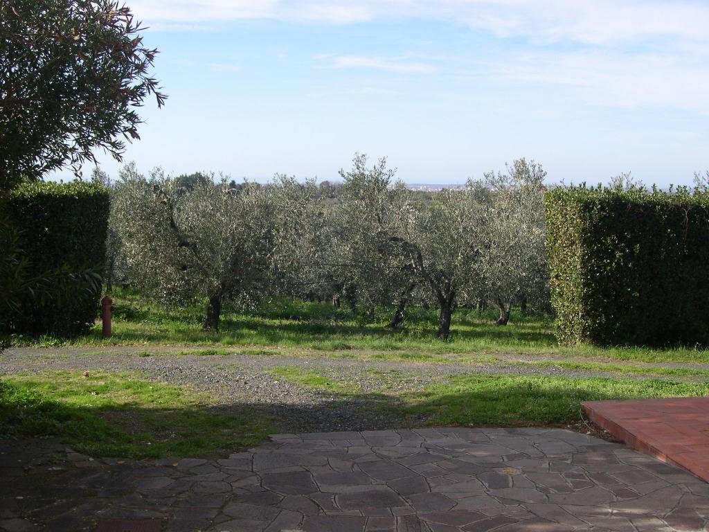 Terreno Agricolo in vendita a Casale Marittimo