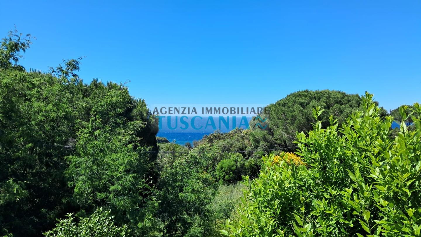Villa Bifamiliare con giardino, Marciana procchio
