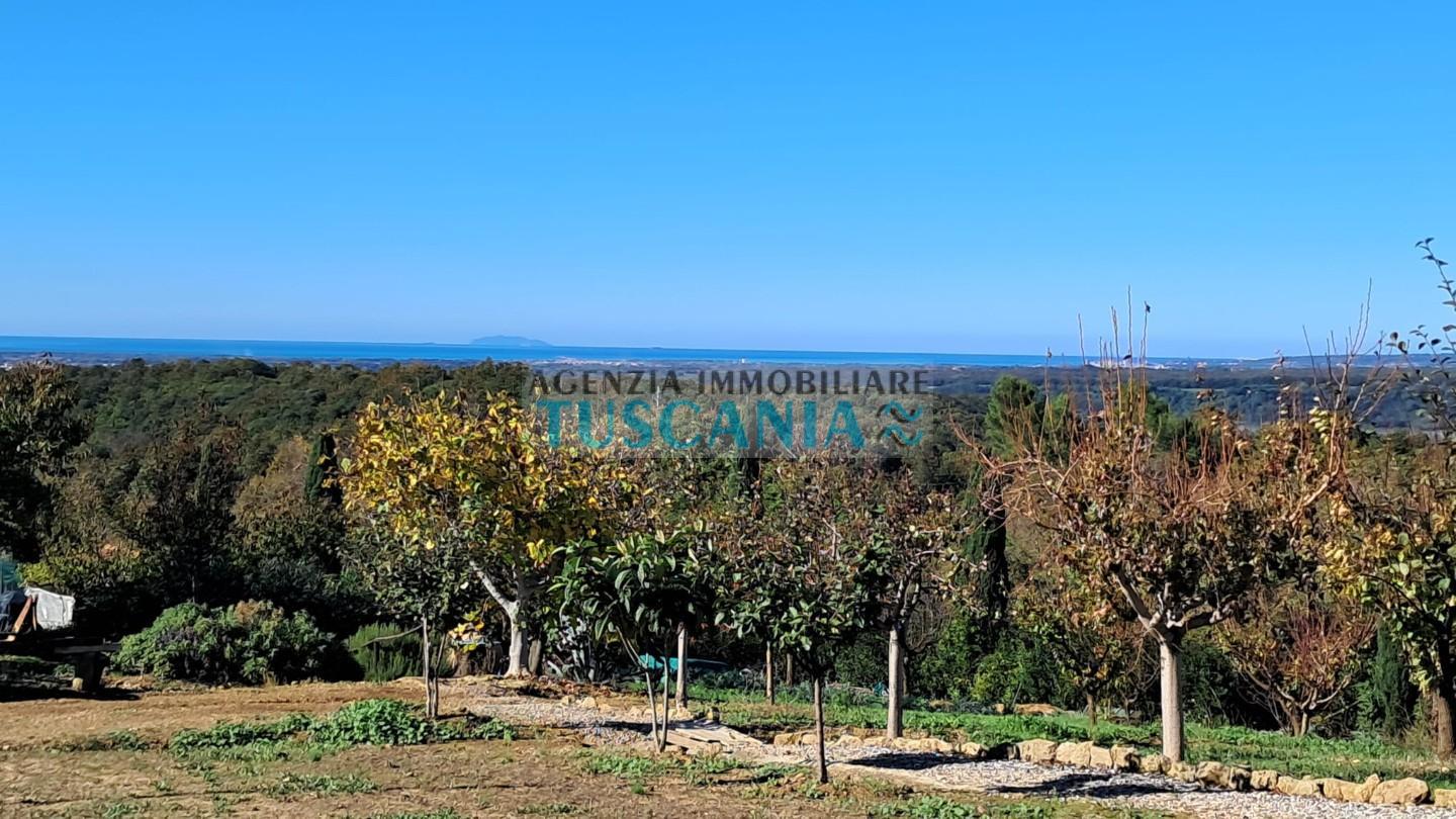 Attivit� commerciale vista mare a Montescudaio