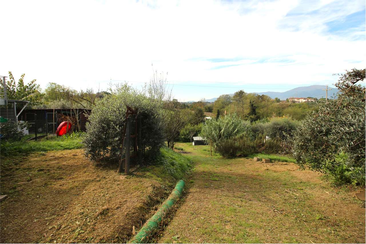 immagine annuncio 4 di 6