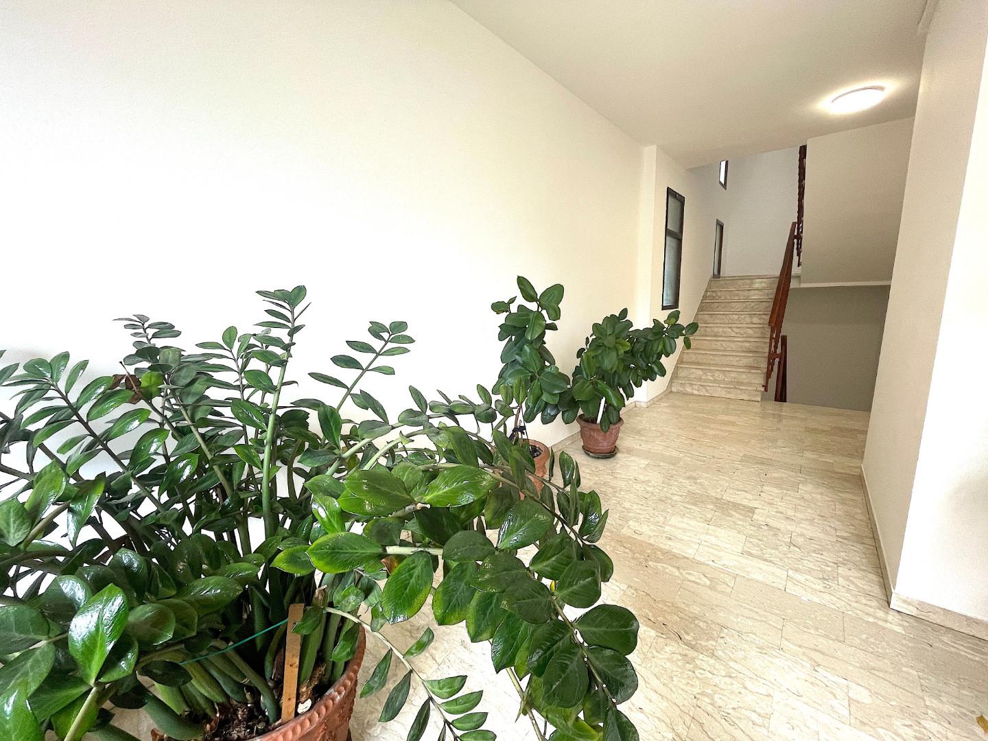 Appartamento con terrazzi a Empoli