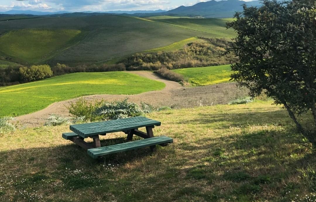 Terreno Agricolo in vendita a Peccioli