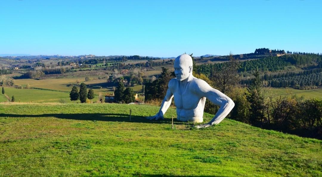 Terreno Agricolo in vendita a Peccioli