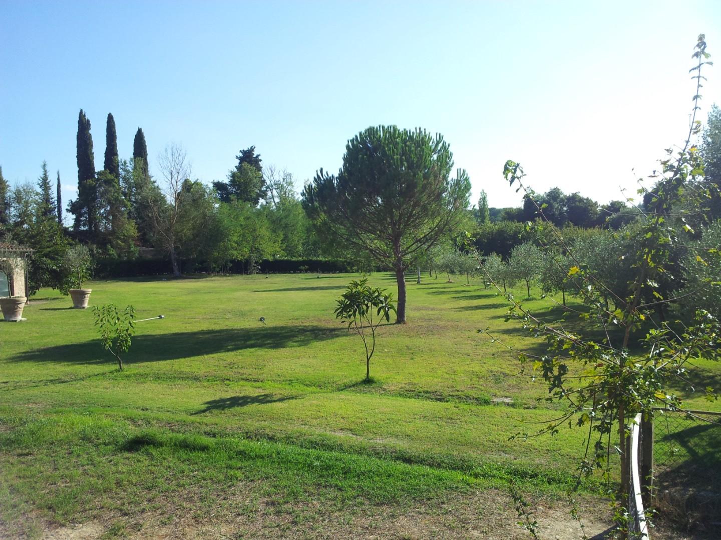 Appartamento – Terricciola, Pisa - Vista 2