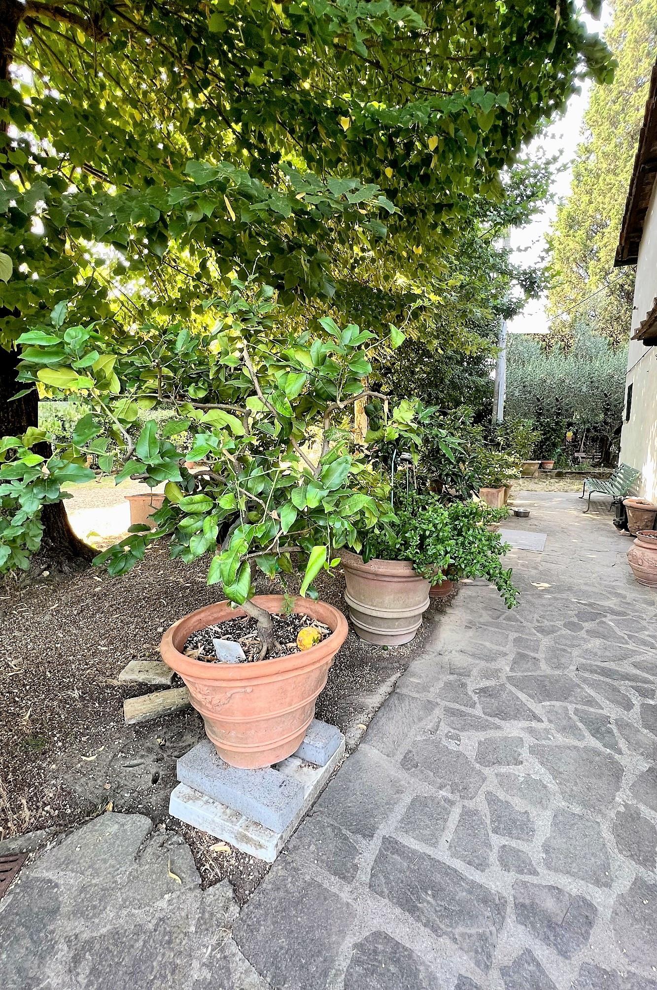 Rustico con giardino, Montelupo Fiorentino camaioni