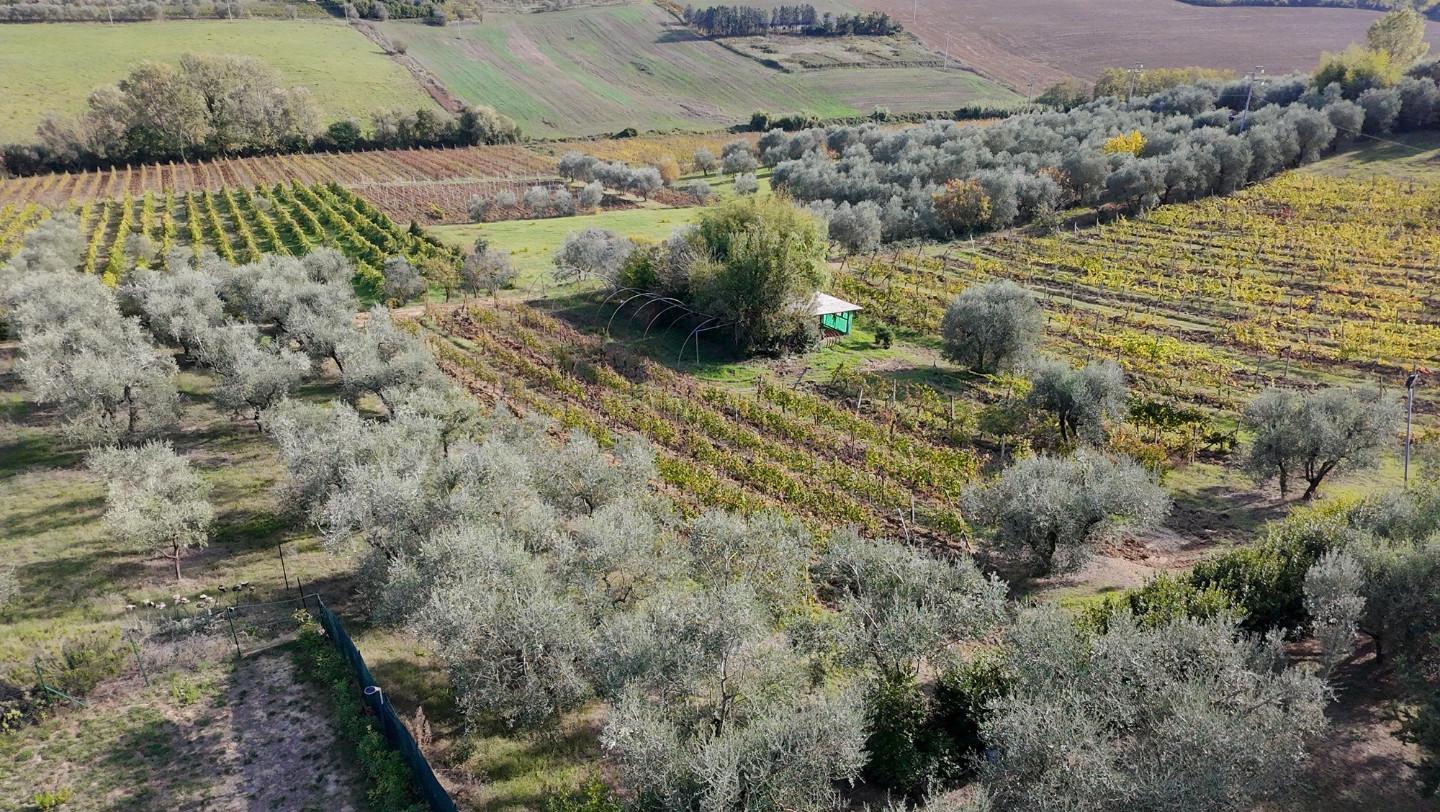 Casa indipendente con giardino, Lastra a Signa malmantile