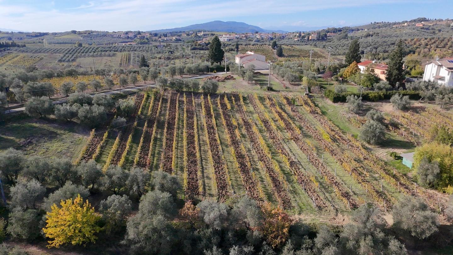Casa indipendente con giardino a Montelupo Fiorentino