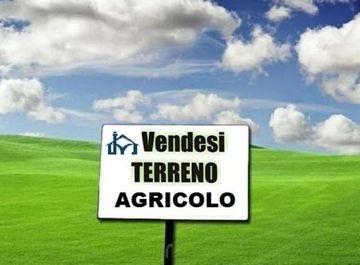 Terreno Agricolo in vendita, San Giuliano Terme colignola
