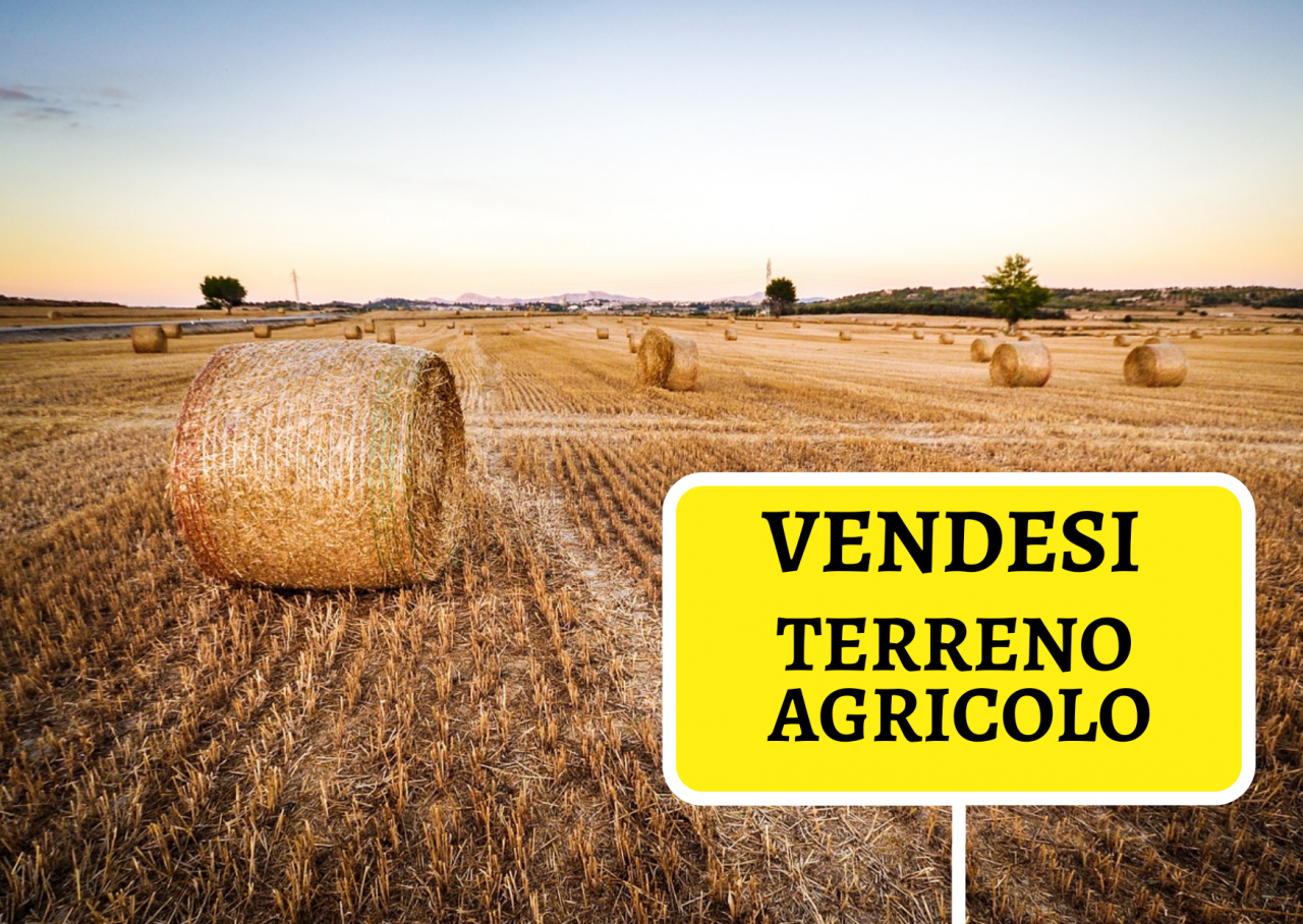Terreno Agricolo in vendita, San Giuliano Terme colignola