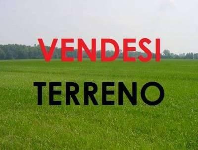 Terreno Agricolo in vendita, San Giuliano Terme colignola