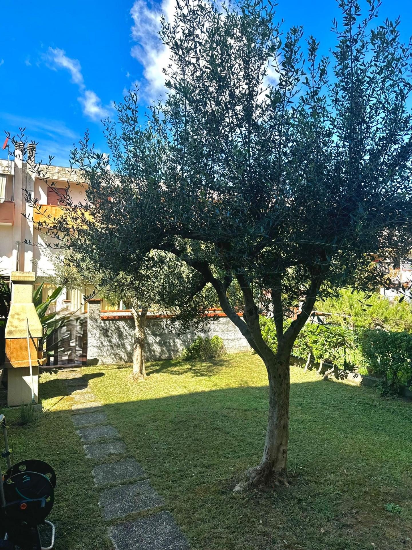 Villa con giardino a Vecchiano