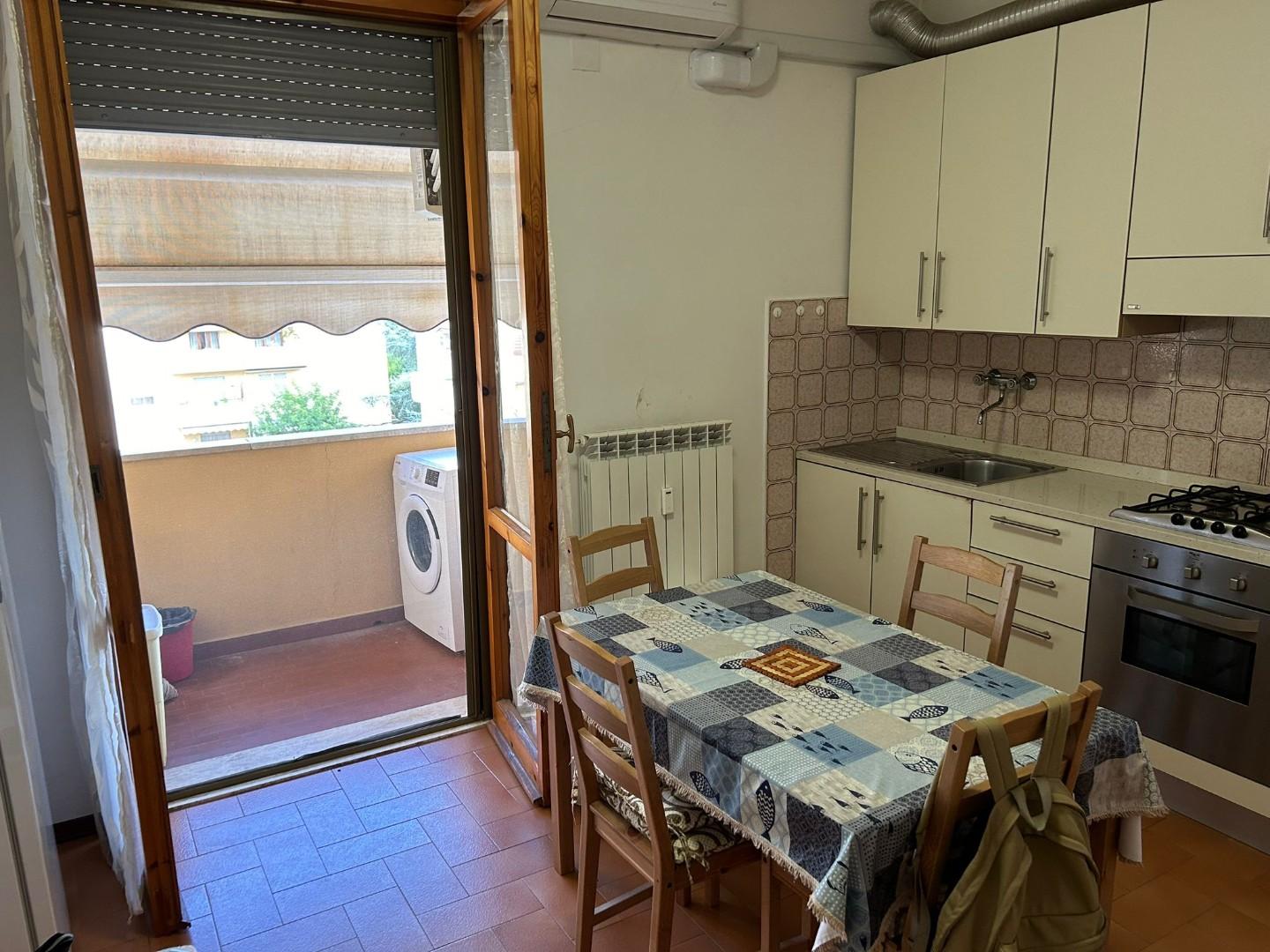 Bilocale arredato in affitto, Pisa cisanello