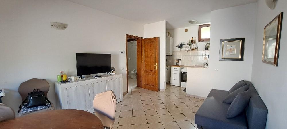 Bilocale in vendita, Cascina san prospero navacchio