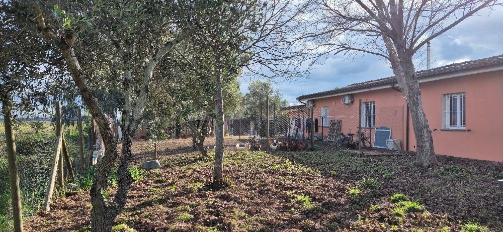 Villa Bifamiliare con giardino, Pisa ospedaletto