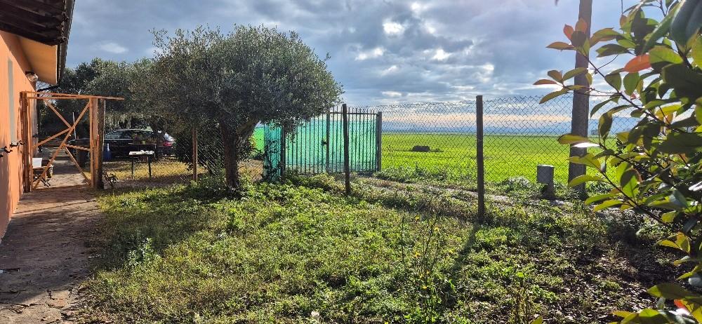 Villa Bifamiliare con giardino, Pisa ospedaletto