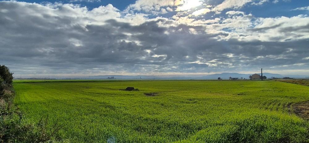 Villa Bifamiliare con giardino, Pisa ospedaletto