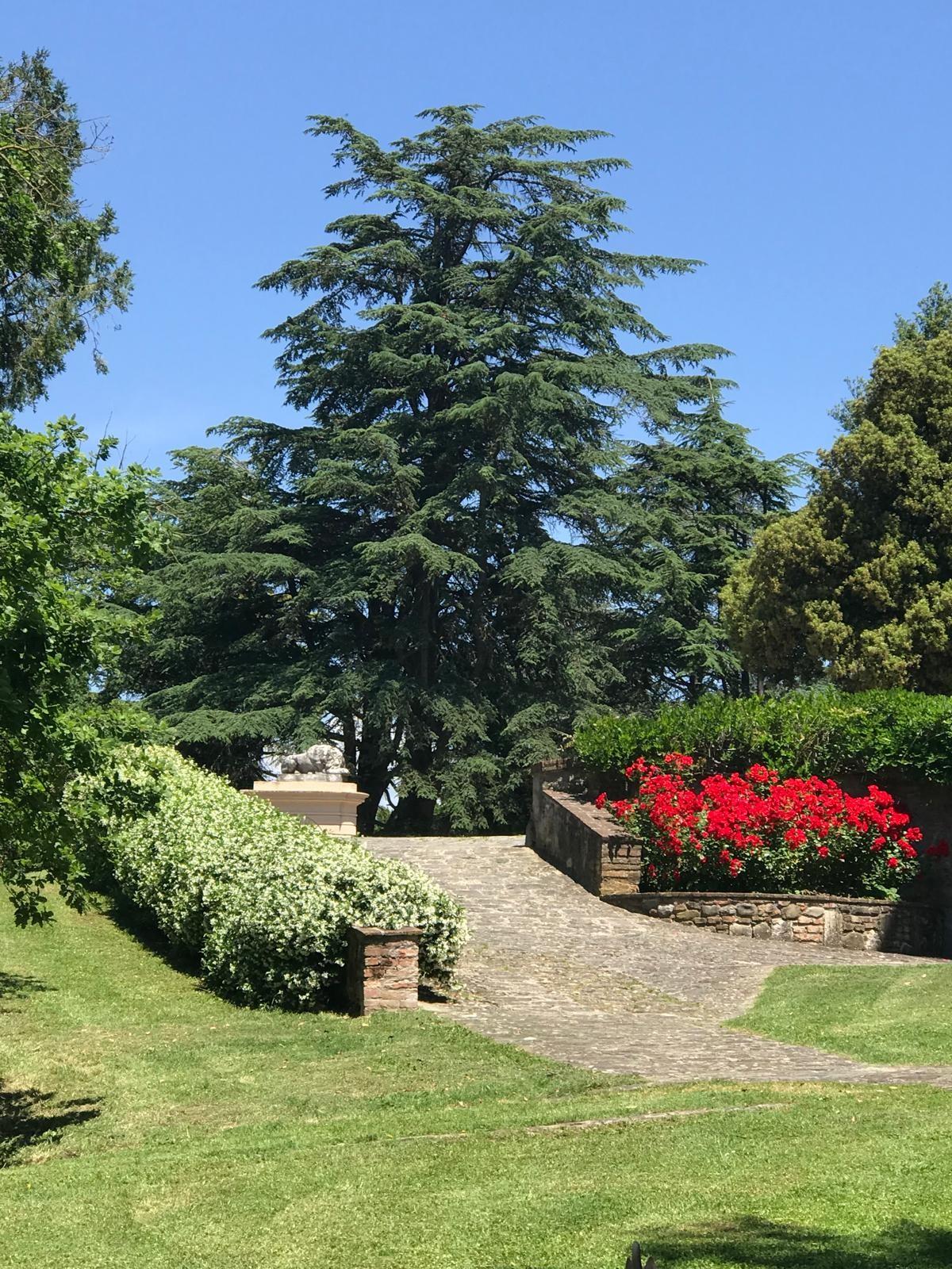 Appartamento in vendita a Calcinaia