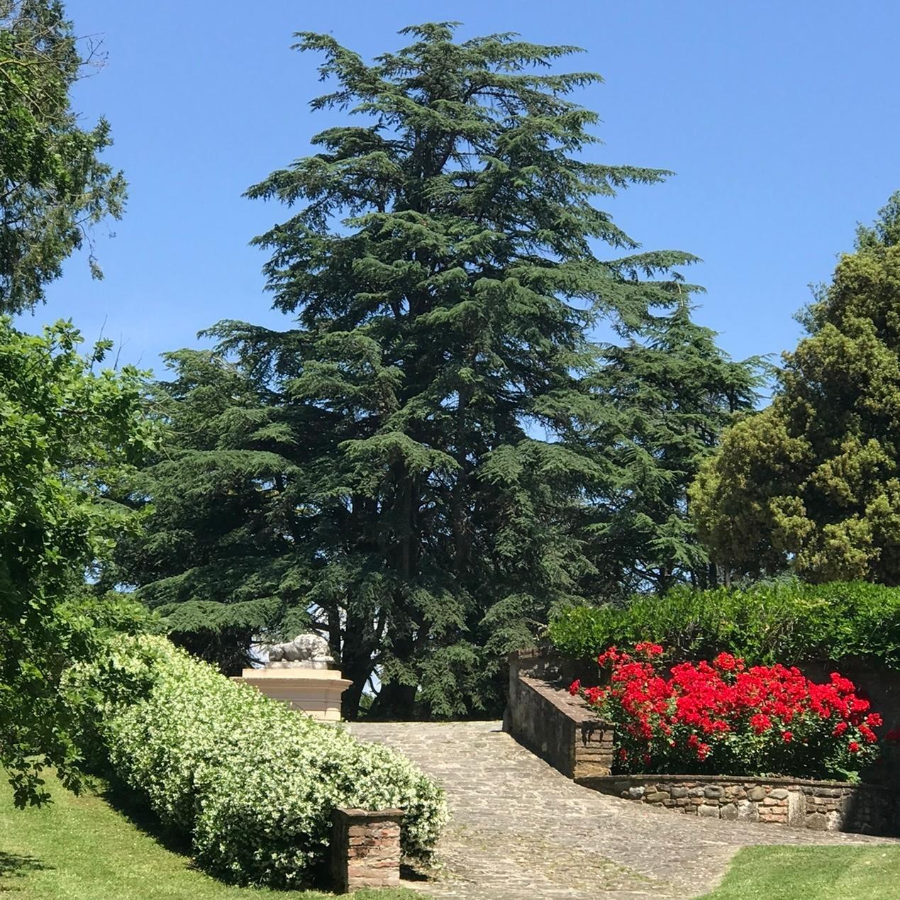 Appartamento in vendita a Calcinaia