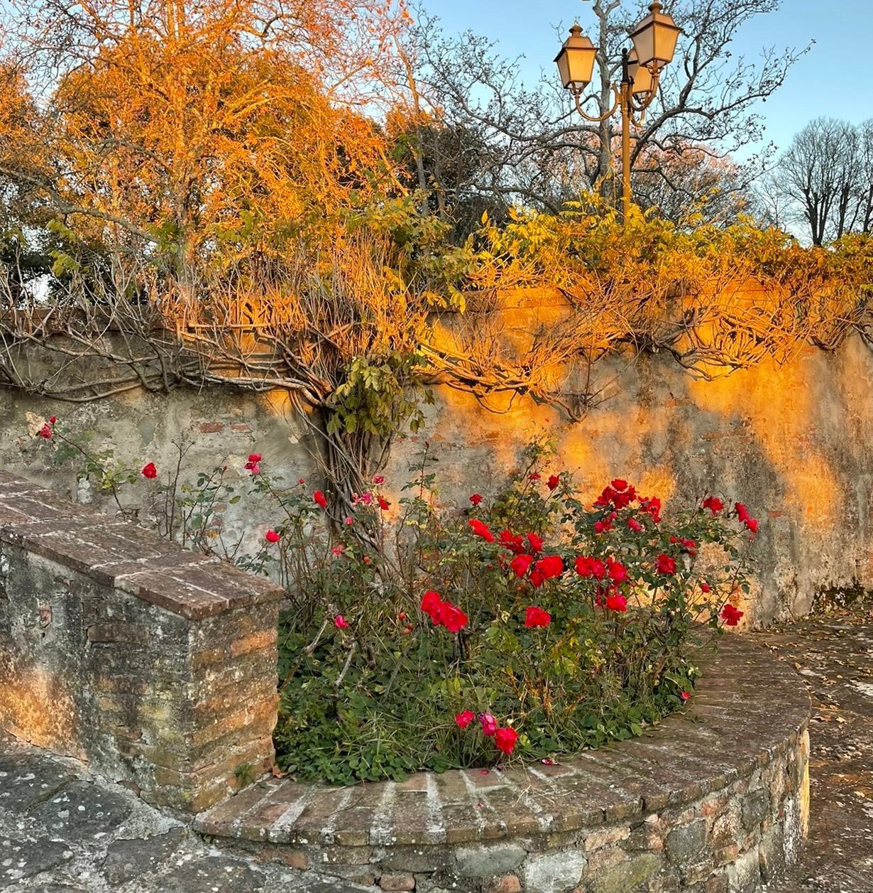 Appartamento in vendita a Calcinaia