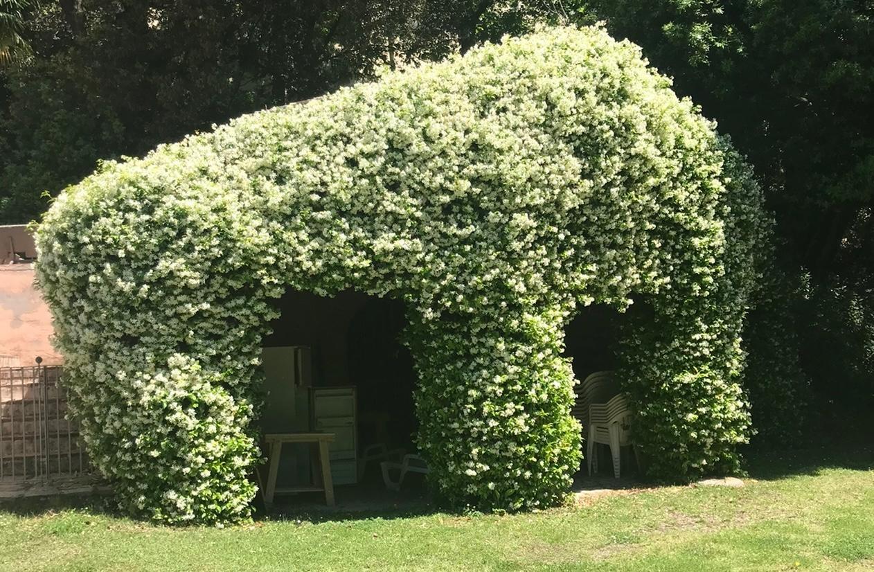 Appartamento in vendita a Calcinaia